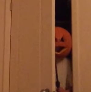 Meet your Posher, Estrella